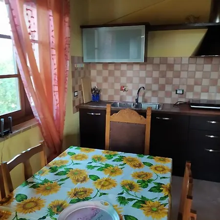 La Casa Degli Olivi *